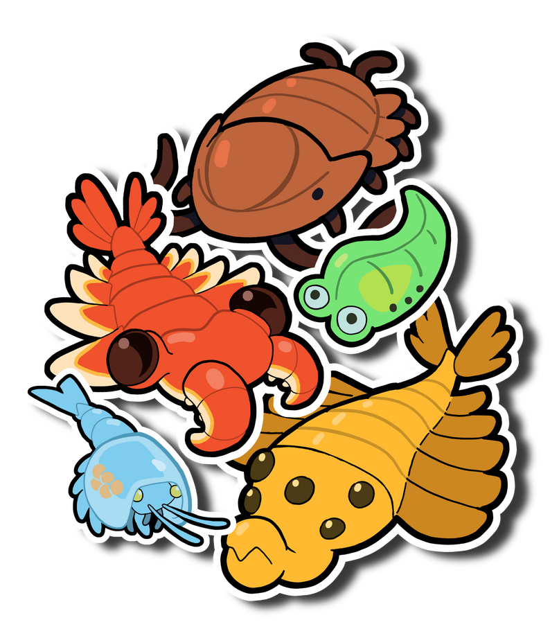 Cambrian